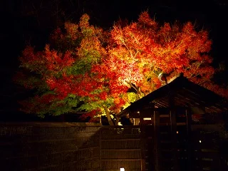天山湯治郷（旧 ひがな湯治 天山）