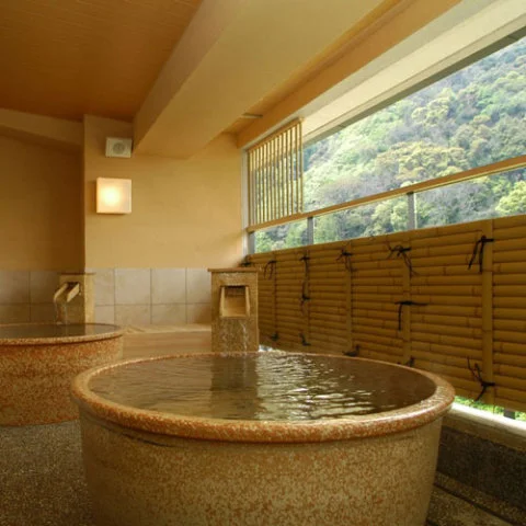 Hakone Route Kaiun - Kanagawa