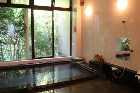 Hakone Gora Onsen Aoi-so - Kanagawa