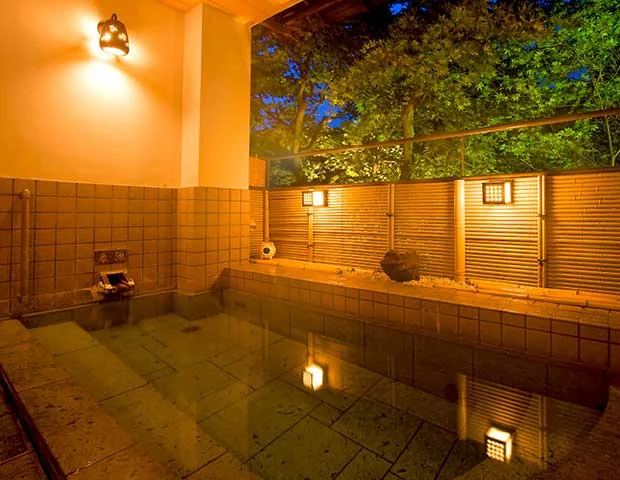 湯河原温泉 源泉 上野屋