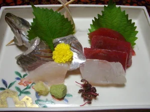 湯河原温泉 源泉 上野屋