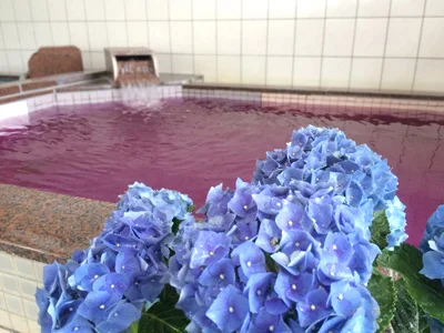 フォトアルバム6