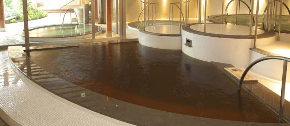 トップメイン画像1