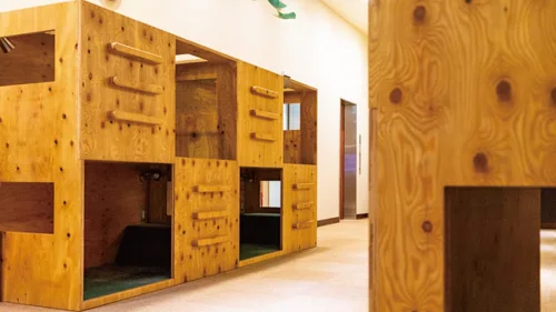 フォトアルバム15