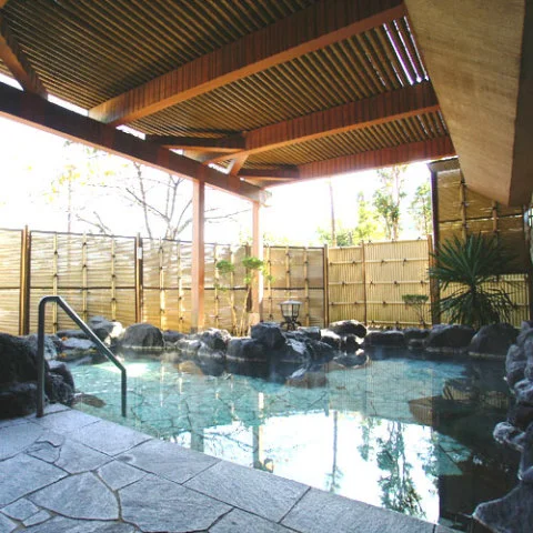 Odaino Onsen Hakone Ryokan - Kanagawa