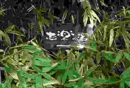 フォトアルバム27