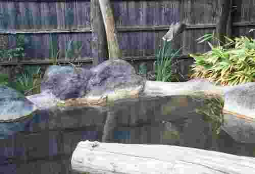 フォトアルバム29