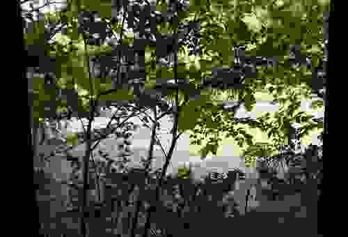 フォトアルバム31