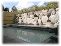 ビラ箱根 - 神奈川県