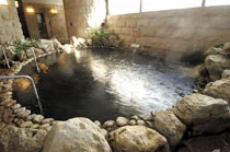 戸塚温泉 ラジャの湯(閉館しました)