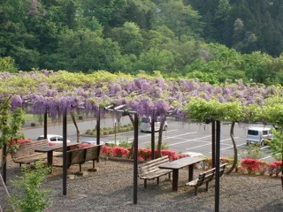 ふじの温泉 東尾垂の湯【閉館しました】