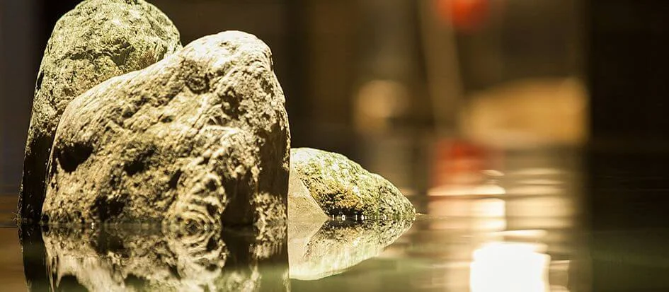 トップメイン画像2