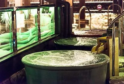 フォトアルバム1