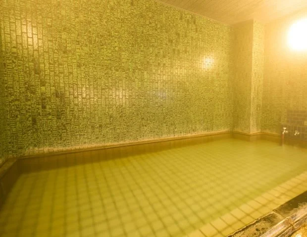 フォレストリゾート 湯もと小町館（旧 大観荘）