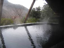 楽遊壽林自然館(閉館しました)