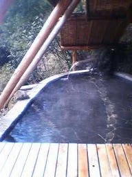 楽遊壽林自然館(閉館しました)