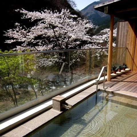 トップメイン画像7