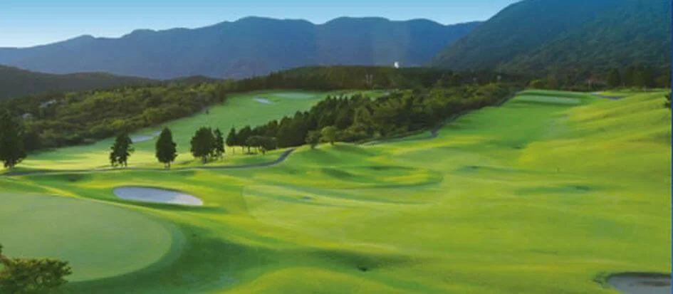 トップメイン画像2