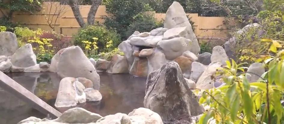 トップメイン画像2