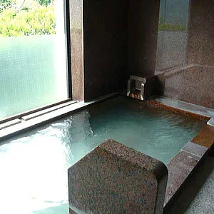 仙石原温泉　箱根　イタリ亭 - 神奈川県