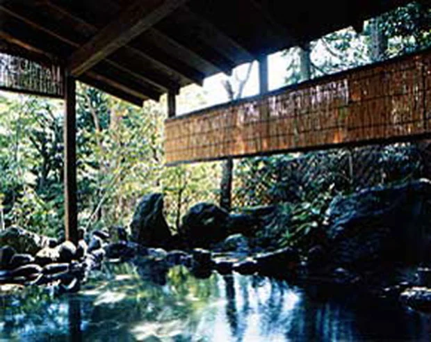 箱根強羅温泉 COZY INN 箱根の山