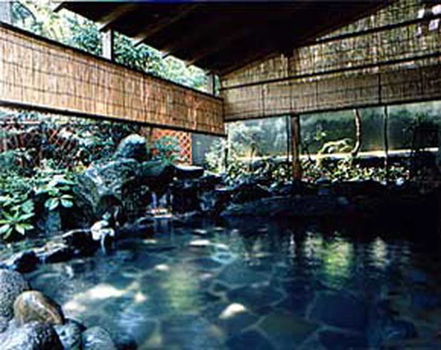 箱根強羅温泉 COZY INN 箱根の山