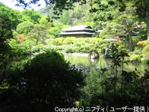 吉池旅館