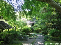 吉池旅館