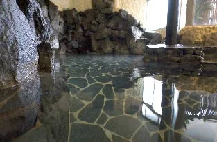 飯山温泉 湯宿 美登利園(閉館しました)