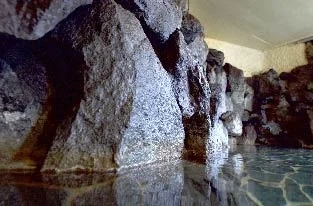 飯山温泉 湯宿 美登利園(閉館しました)