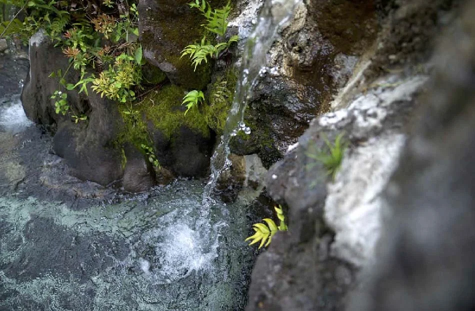 飯山温泉 湯宿 美登利園(閉館しました)