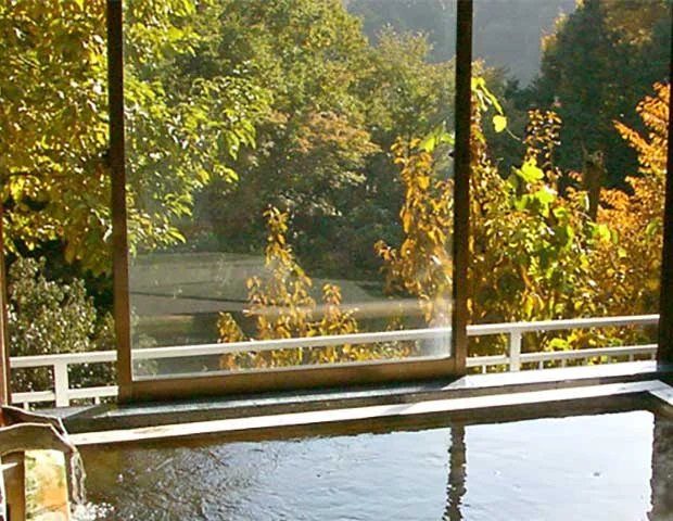 弁天島温泉 旅館天下茶屋(閉館しました)