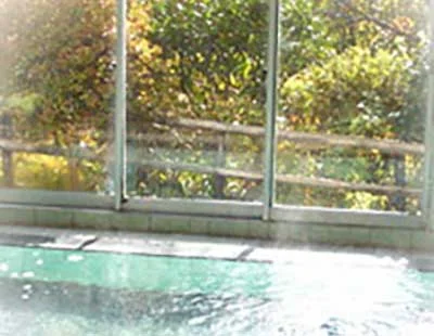 弁天島温泉 旅館天下茶屋(閉館しました)