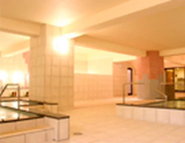 スパ ニュージャパン(閉館しました)