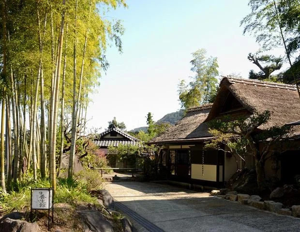 養生館 はるのひかり