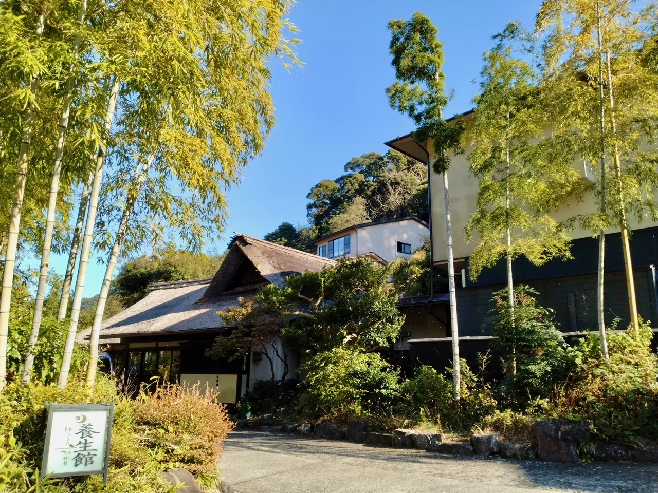 養生館 はるのひかり