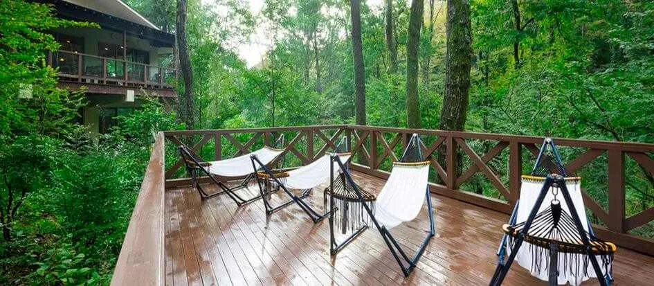 トップメイン画像4