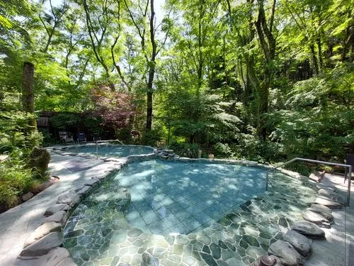 フォトアルバム1