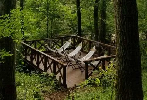 フォトアルバム25