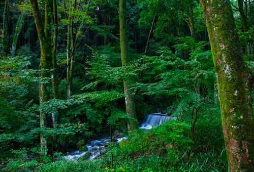 フォトアルバム38