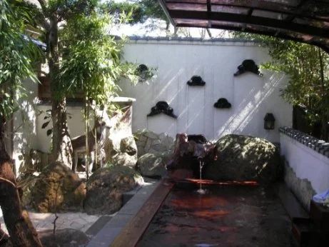広沢寺温泉 玉翠楼(こうたくじおんせん ぎょくすいろう）
