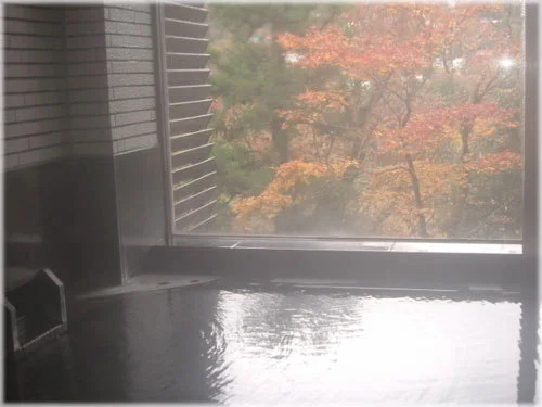 Hakone Miyagi-no-Yu Dog Palace Resort Hakone - Kanagawa