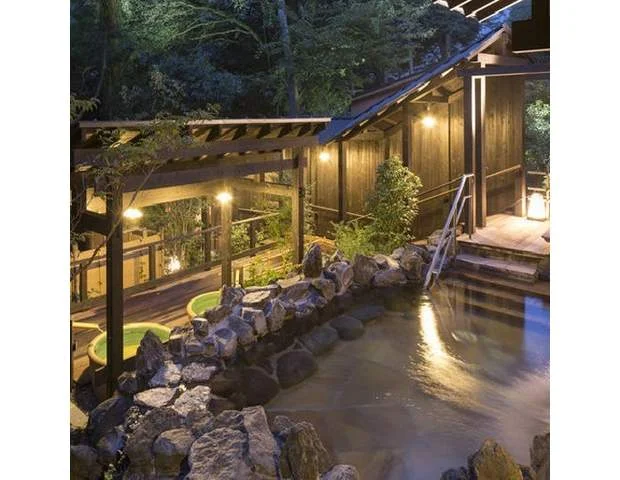 THE HAKONE