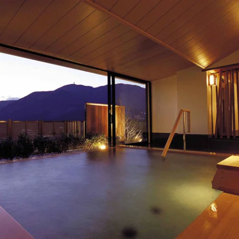 仙石原温泉　ホテルハーヴェスト箱根甲子園 - 神奈川県