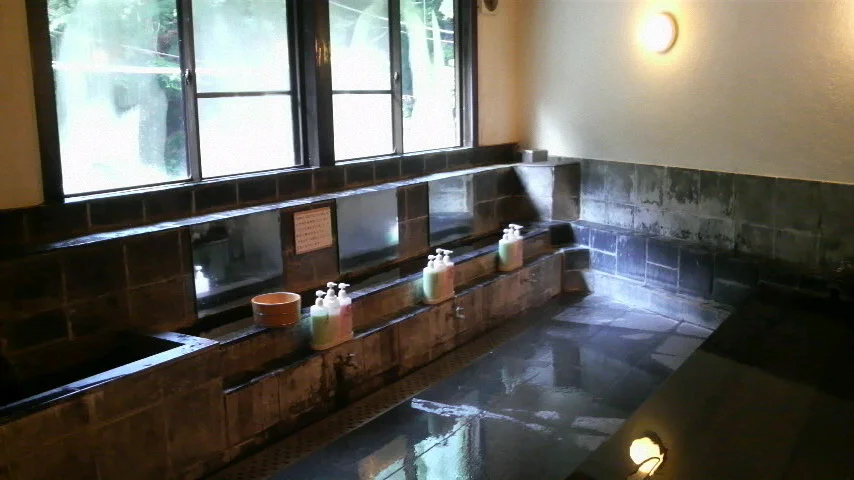 塔ノ沢 一の湯 本館