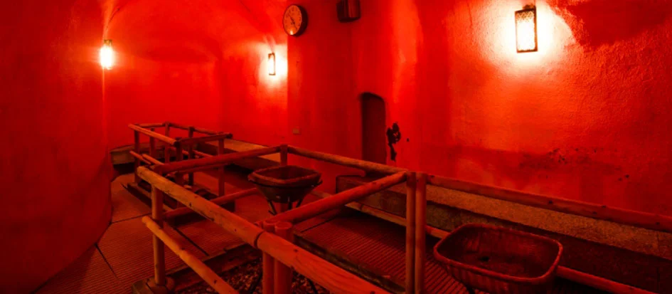 トップメイン画像4