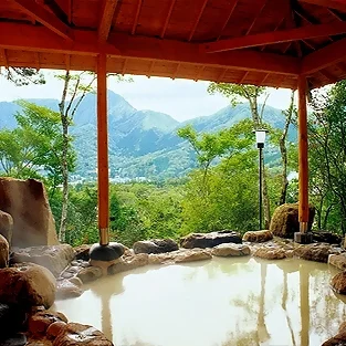 仙石原温泉　仙郷楼 - 神奈川県