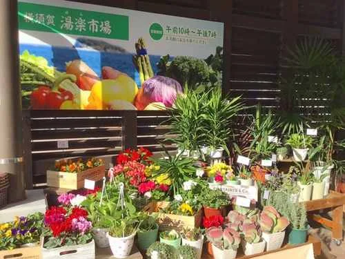 フォトアルバム9