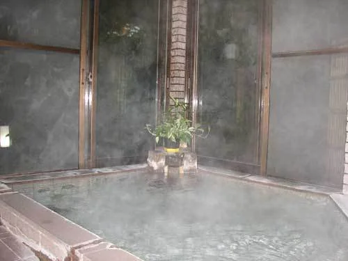 Hakone Sengokuhara Onsen Kintoki Mountain Lodge - Kanagawa