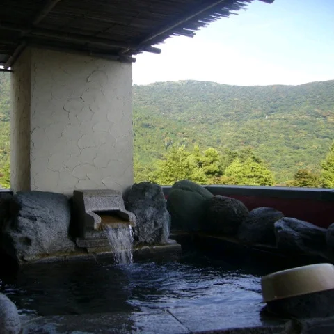 大平台温泉　箱根　旅の宿　海本